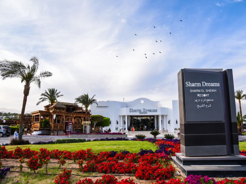 Jaz Sharm Dreams